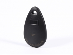 RFID Keyfob & Keychain - H36