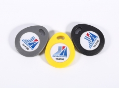 RFID Keyfob & Keychain - TK29