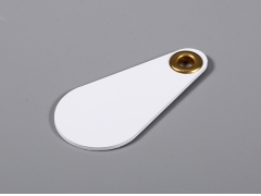 RFID Keyfob & Keychain - 9973